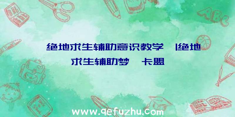 「绝地求生辅助意识教学」|绝地求生辅助梦琪卡盟